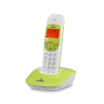 TELEFONO CORDLESS BRONDI NICE BICOLORE BIANCO/VERDE RUBRICA/ID CALL