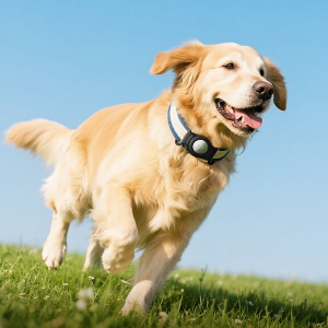 LOCALIZZATORE COMPATIBILE CON APPLE TROVA IL MIO HOCO E91C BIANCO